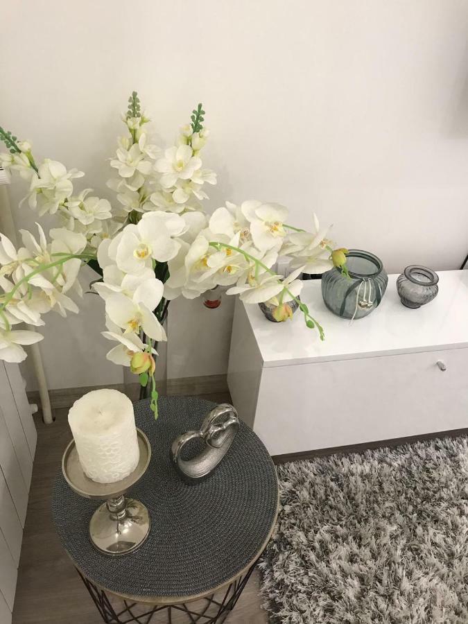 Studio Angel Stan Na Dan Novi Sad Dış mekan fotoğraf